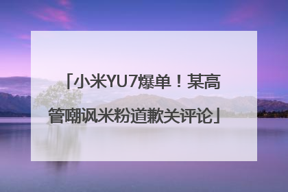 小米YU7爆单！某高管嘲讽米粉道歉关评论