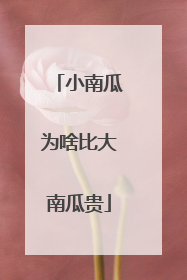 小南瓜为啥比大南瓜贵