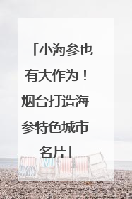小海参也有大作为！烟台打造海参特色城市名片