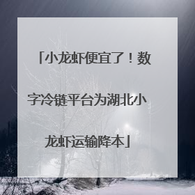 小龙虾便宜了！数字冷链平台为湖北小龙虾运输降本