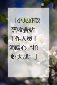小龙虾散落收费站 工作人员上演暖心“抢虾大战”