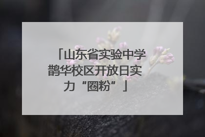 山东省实验中学鹊华校区开放日实力“圈粉”