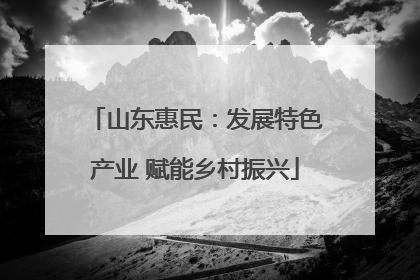 山东惠民：发展特色产业 赋能乡村振兴