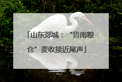 山东郯城：“鲁南粮仓”麦收接近尾声
