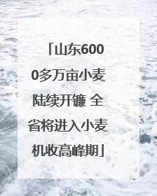山东6000多万亩小麦陆续开镰 全省将进入小麦机收高峰期