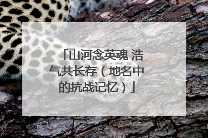 山河念英魂 浩气共长存（地名中的抗战记忆）