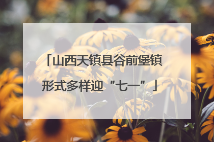 山西天镇县谷前堡镇 形式多样迎“七一”