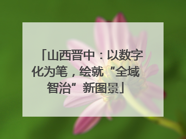山西晋中：以数字化为笔，绘就“全域智治”新图景
