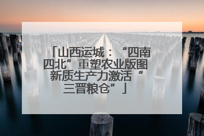 山西运城：“四南四北”重塑农业版图 新质生产力激活“三晋粮仓”