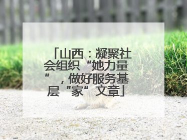 山西：凝聚社会组织“她力量”，做好服务基层“家”文章