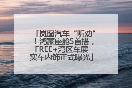 岚图汽车“听劝”！鸿蒙座舱5首搭，FREE+湾区车展实车内饰正式曝光