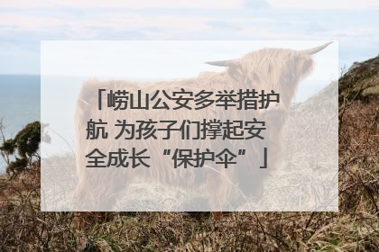 崂山公安多举措护航 为孩子们撑起安全成长“保护伞”