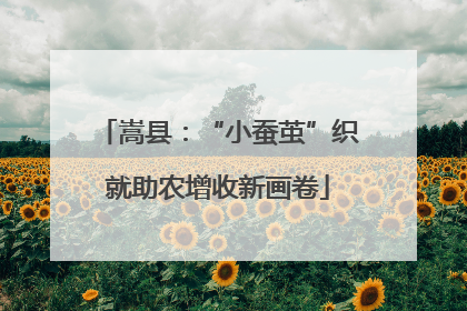 嵩县：“小蚕茧”织就助农增收新画卷