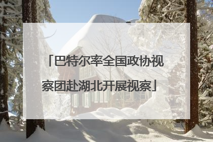 巴特尔率全国政协视察团赴湖北开展视察