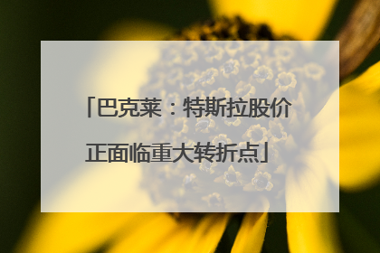 巴克莱：特斯拉股价正面临重大转折点