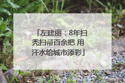 左建丽：8年扫秃扫帚百余把 用汗水给城市添彩