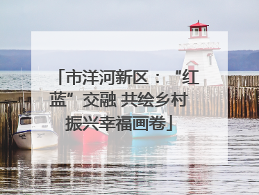 市洋河新区：“红蓝”交融 共绘乡村振兴幸福画卷