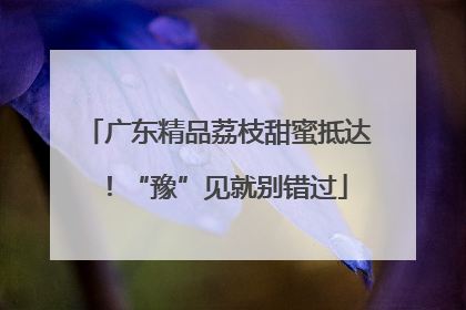 广东精品荔枝甜蜜抵达！“豫”见就别错过