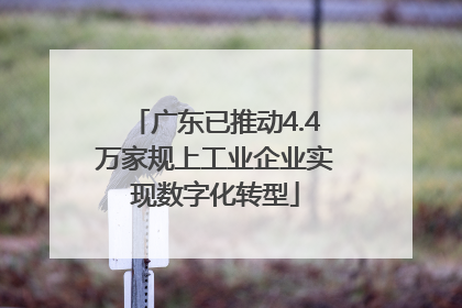 广东已推动4.4万家规上工业企业实现数字化转型