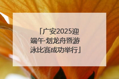 广安2025迎端午·划龙舟暨游泳比赛成功举行