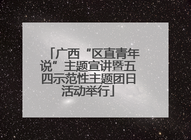 广西“区直青年说”主题宣讲暨五四示范性主题团日活动举行