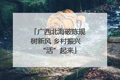 广西北海破陈规树新风 乡村振兴“活”起来