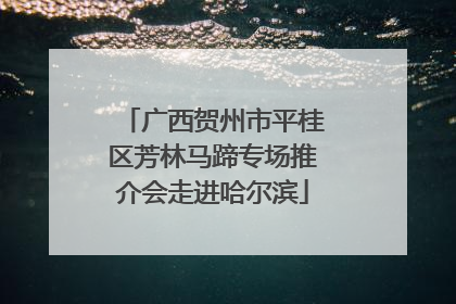 广西贺州市平桂区芳林马蹄专场推介会走进哈尔滨