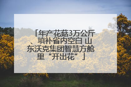 年产花菇3万公斤、填补省内空白 山东沃克集团智慧方舱里“开出花”