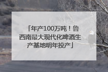 年产100万吨！鲁西南最大现代化啤酒生产基地明年投产