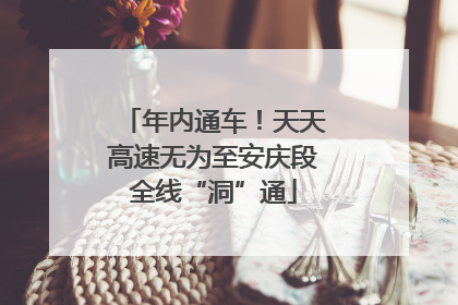 年内通车！天天高速无为至安庆段全线“洞”通