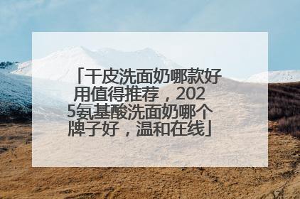 干皮洗面奶哪款好用值得推荐，2025氨基酸洗面奶哪个牌子好，温和在线