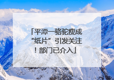 平潭一骆驼瘦成“纸片”引发关注！部门已介入