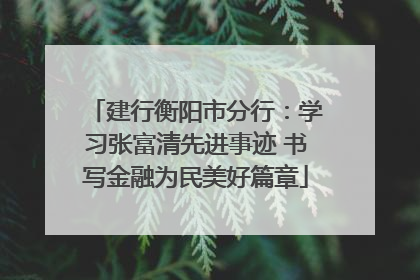 建行衡阳市分行：学习张富清先进事迹 书写金融为民美好篇章