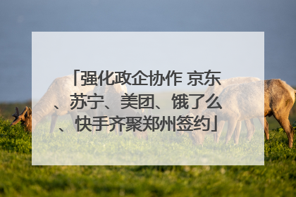 强化政企协作 京东、苏宁、美团、饿了么、快手齐聚郑州签约