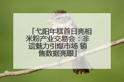 弋阳年糕首日亮相米粉产业交易会：非遗魅力引爆市场 销售数据亮眼
