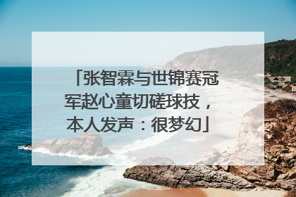 张智霖与世锦赛冠军赵心童切磋球技，本人发声：很梦幻