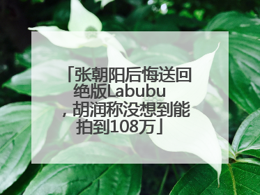 张朝阳后悔送回绝版Labubu，胡润称没想到能拍到108万