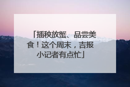 插秧放蟹、品尝美食！这个周末，吉报小记者有点忙
