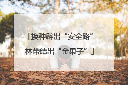 换种辟出“安全路” 林带结出“金果子”