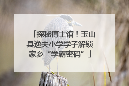探秘博士馆！玉山县逸夫小学学子解锁家乡“学霸密码”