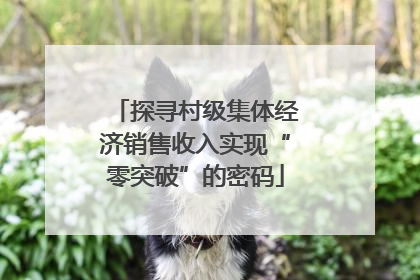 探寻村级集体经济销售收入实现“零突破”的密码