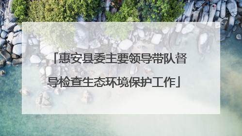 惠安县委主要领导带队督导检查生态环境保护工作