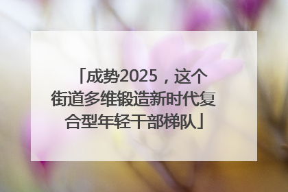成势2025，这个街道多维锻造新时代复合型年轻干部梯队