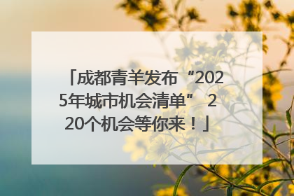 成都青羊发布“2025年城市机会清单” 220个机会等你来！