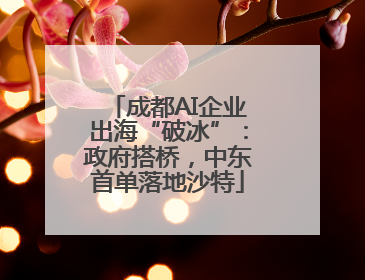成都AI企业出海“破冰”：政府搭桥，中东首单落地沙特