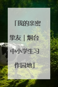 我的亲密挚友｜烟台中小学生习作园地