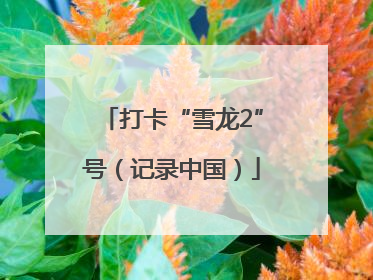 打卡“雪龙2”号（记录中国）