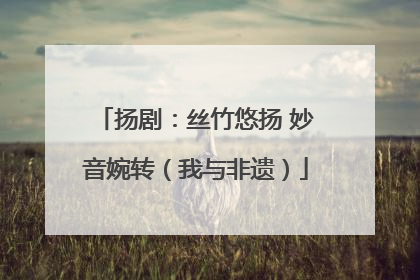 扬剧：丝竹悠扬 妙音婉转（我与非遗）