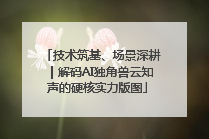 技术筑基、场景深耕｜解码AI独角兽云知声的硬核实力版图