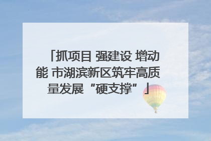 抓项目 强建设 增动能 市湖滨新区筑牢高质量发展“硬支撑”